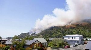 b_300_200_16777215_00_images_stories_images_evt_2019_incendies_NZ_070219.jpg