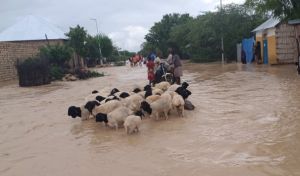 b_300_200_16777215_00_images_stories_images_evt_2023_inondation_burundi_201023.jpg