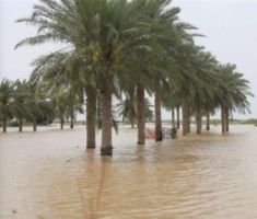 b_300_200_16777215_00_images_stories_images_evt_2023_inondation_iran_290723.jpg