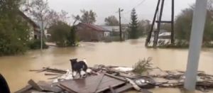 b_300_200_16777215_00_images_stories_images_evt_2023_inondation_russie_051023.jpg