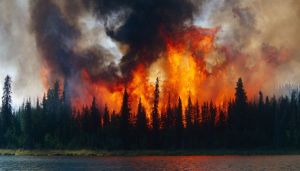 b_300_200_16777215_00_images_stories_images_rechauffement_incendie_taiga_300920.jpg